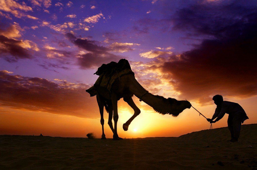 Turismo de Aventura en el Desierto de Thar (India)