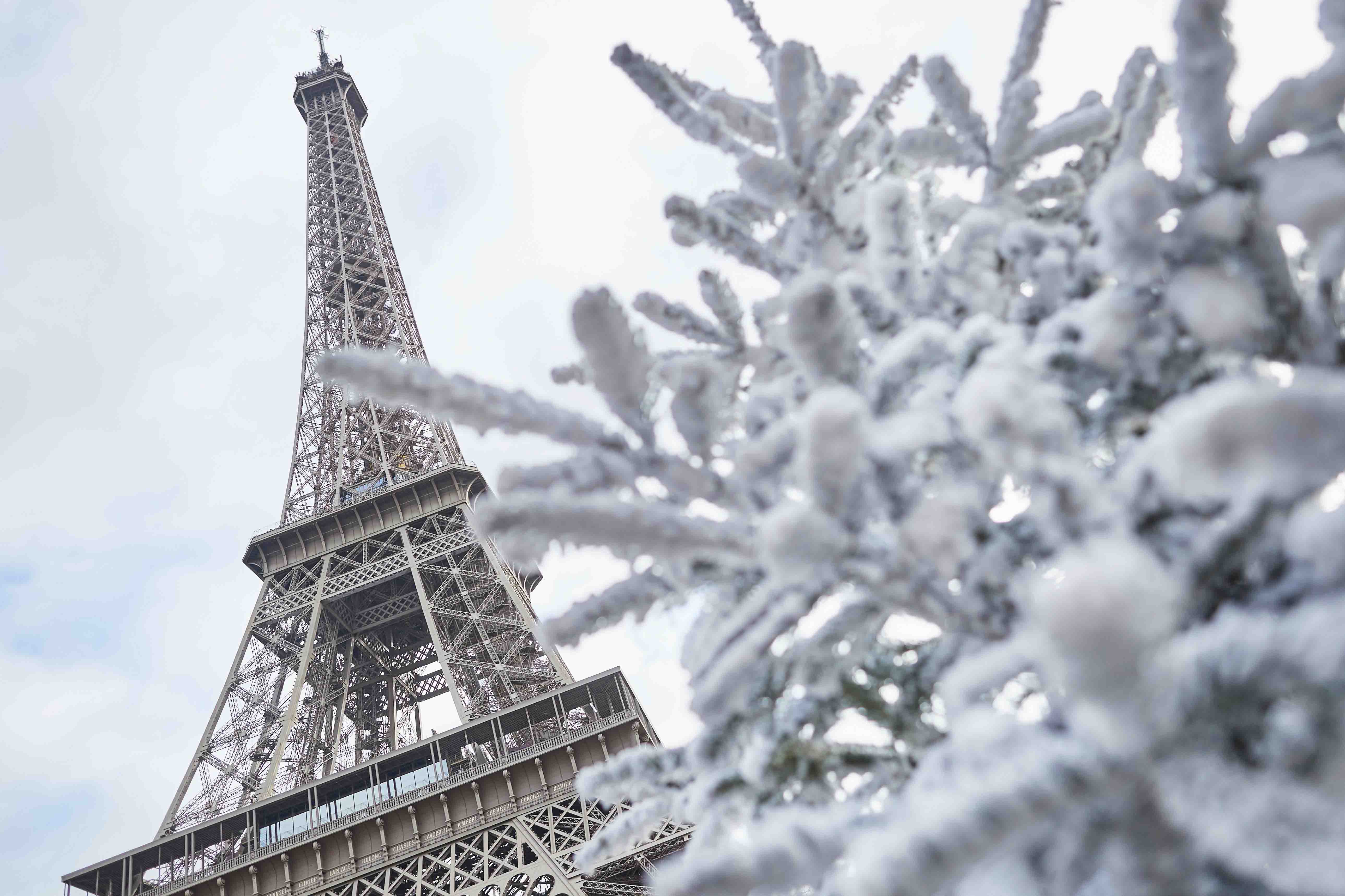 Qué hacer en Navidad y Fin de Año en París