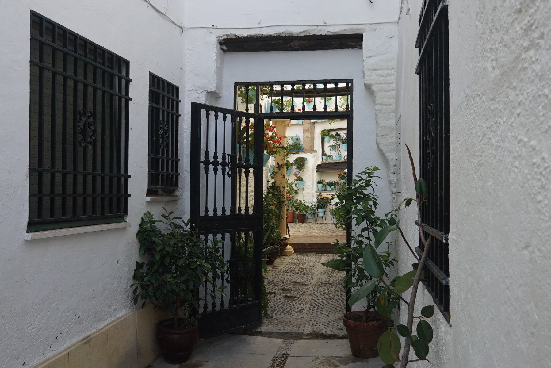 Patios que ver en Córdoba: La barrera 1