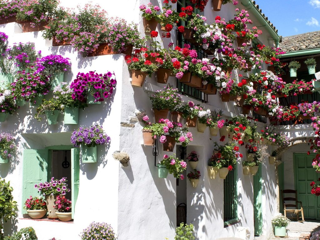 Patios de Córdoba