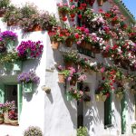 Patios de Córdoba