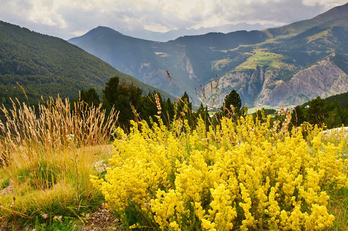 Flora y paisajes de Andorra