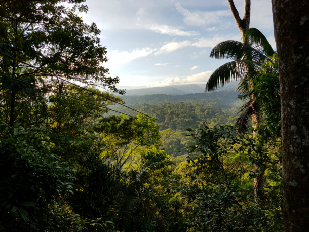 Que ver en Costa Rica Vistas desde un mirador en el Parque Nacional Braulio Carrillo