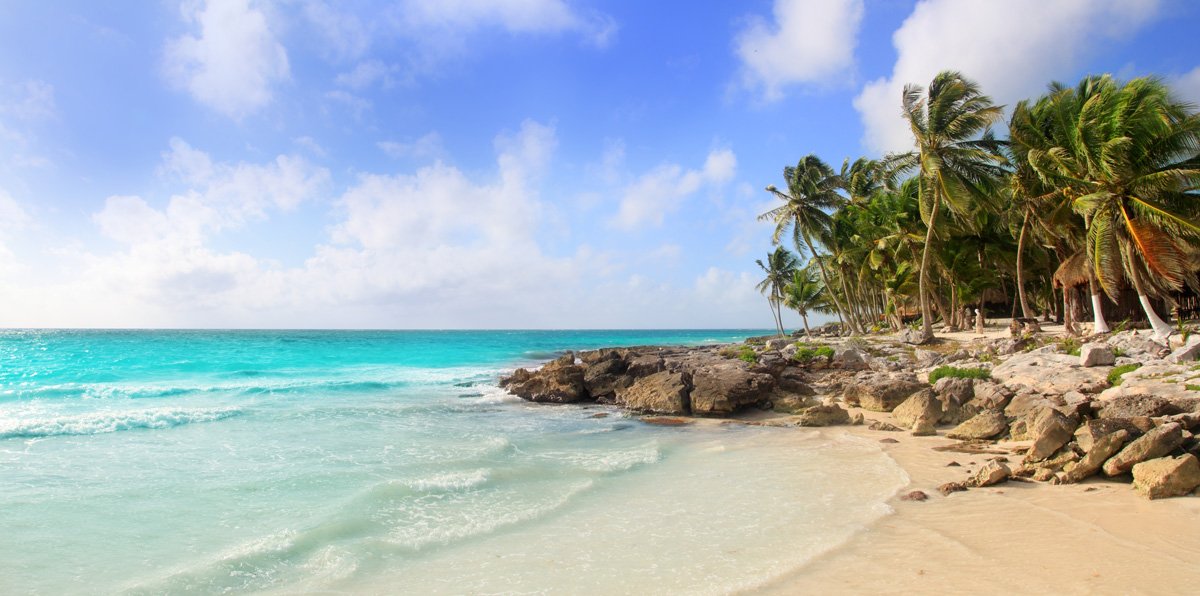 Excursiones en Riviera Maya y una playa con palmeras