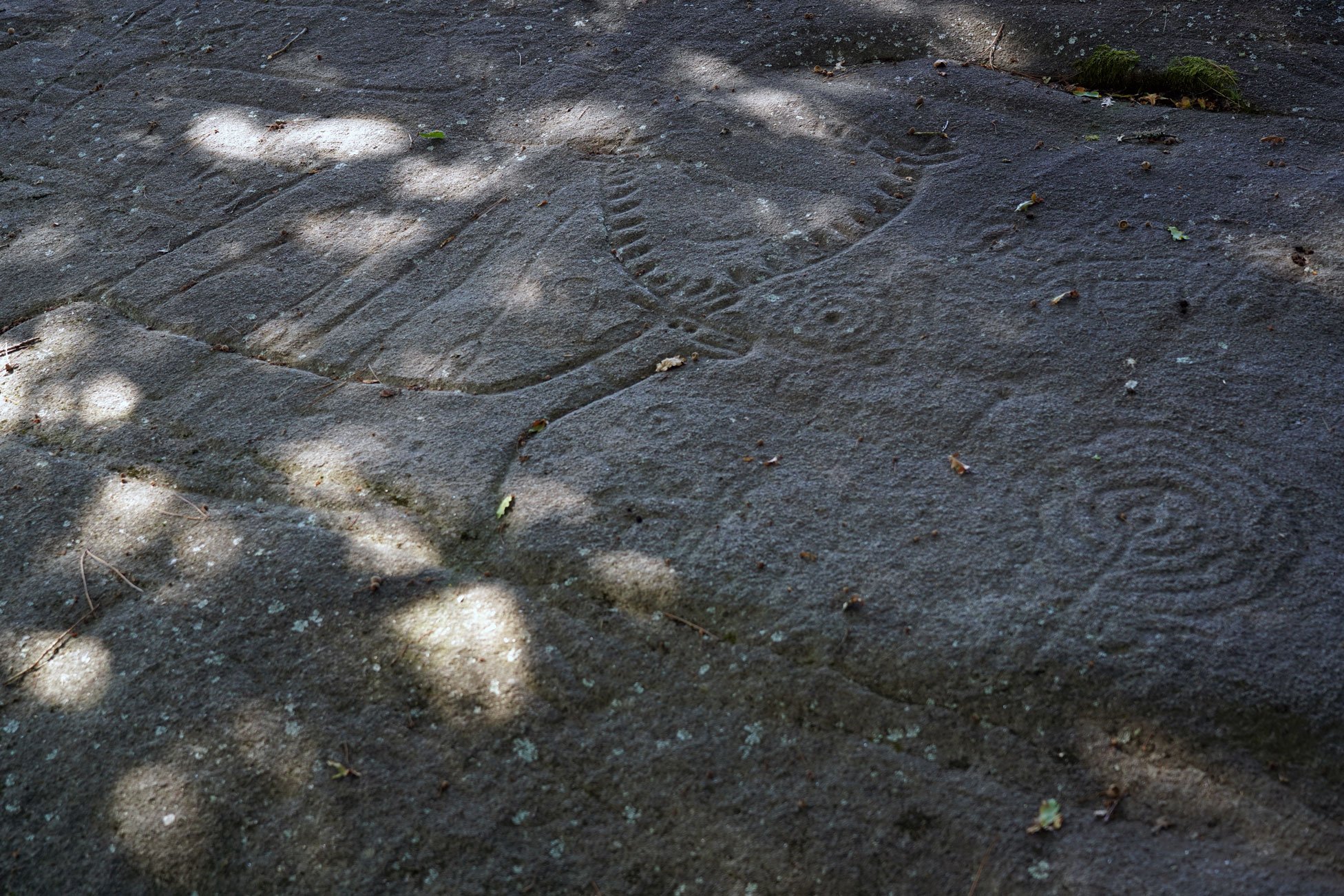 Petroglifo Arte rupestre Galicia