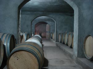 Bodega de vino de Mendoza