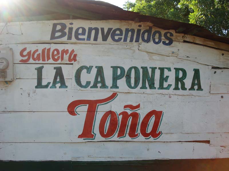 Gallera de Nicaragua