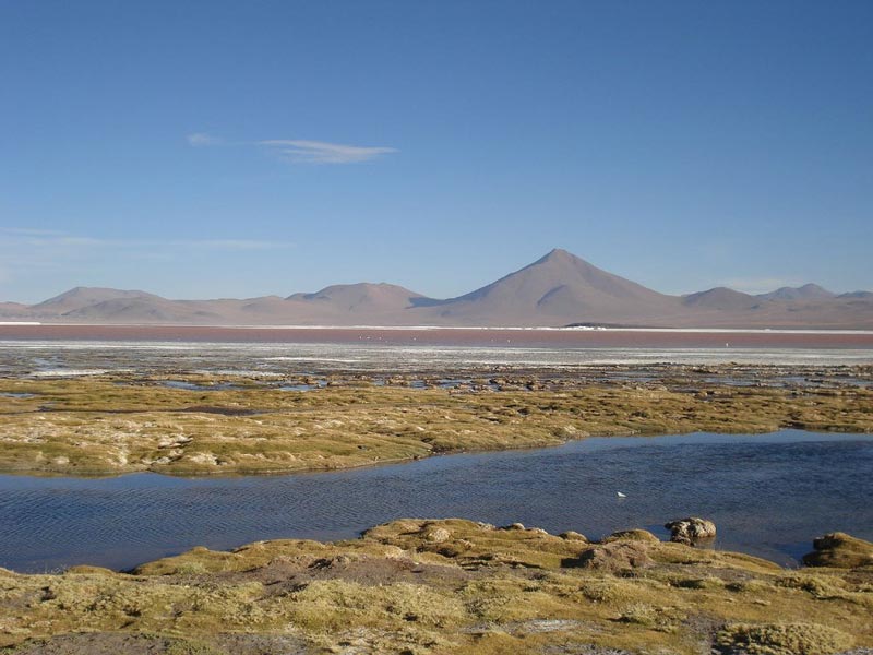 Laguna Colorada de Bolivia