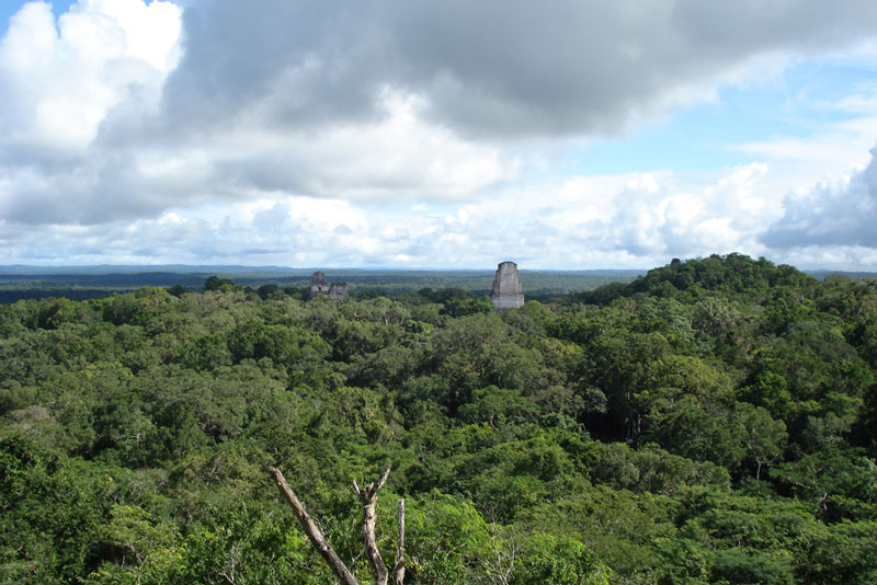 Templo IV de Tikal en Guatemala