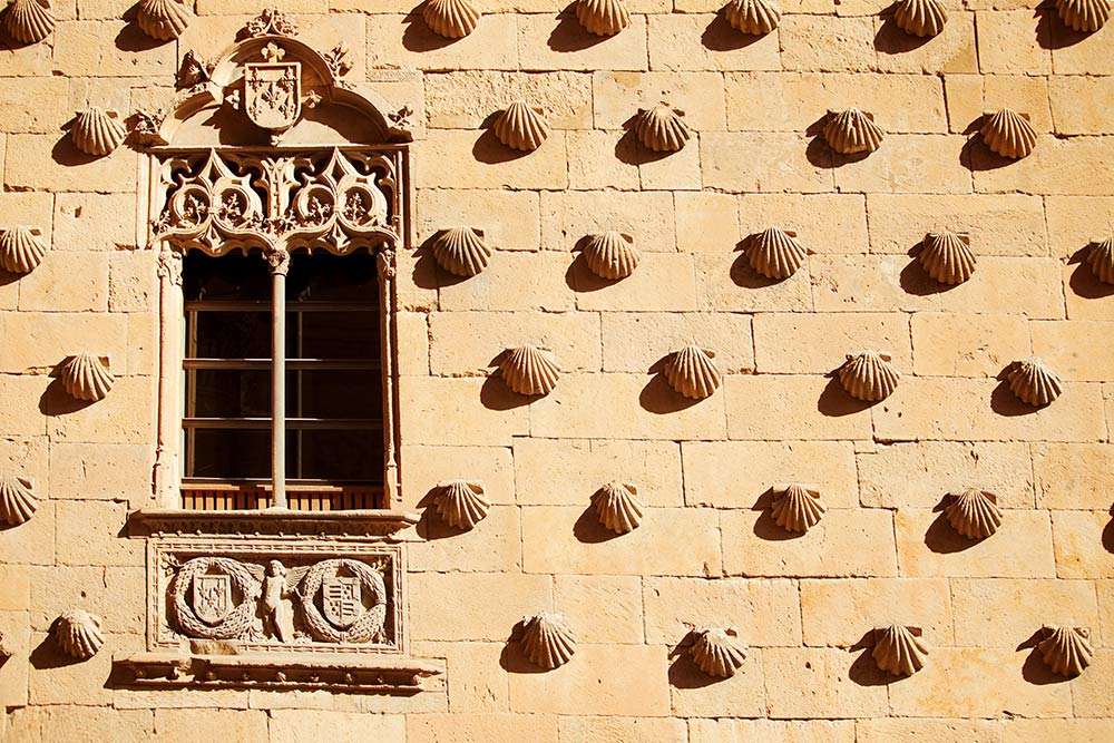 Free Tour Salamanca: Casa de las Conchas
