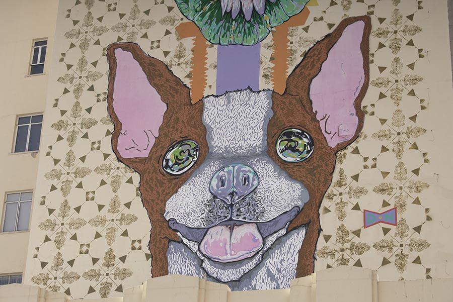 Mural de un perro Chihuahua en el centro histórico