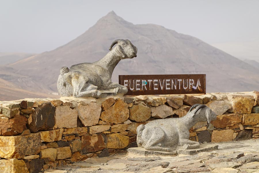 Escultura de cabras majoreras en el Mirador Astronómico de Sicasumbre