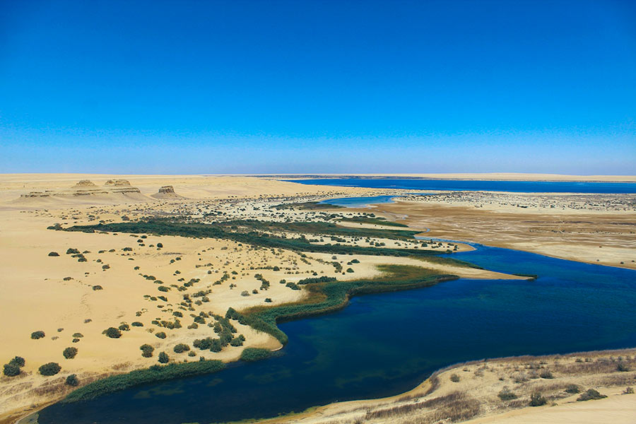 Oasis de Al Fayoum, un desierto que visitar en tu viaje a Egipto