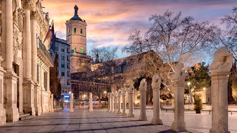 Centro de Valladolid: universidad y catedral