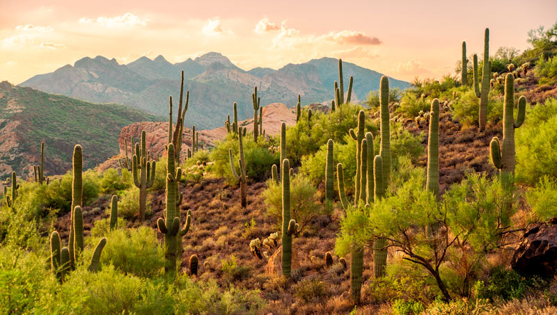 Atardecer en el cañón Bulldog en el desierto de Sonoran