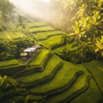 ¿Es seguro viajar a Bali?