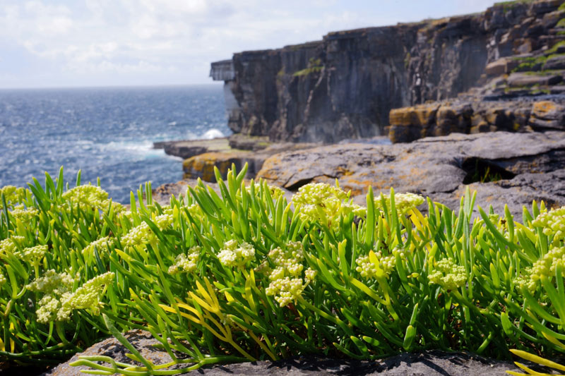 Islas de Aran, uno de los lugares que ver en Galway